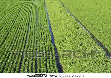 Stock Image - Nagano Prefecture, Japan. Fotosearch