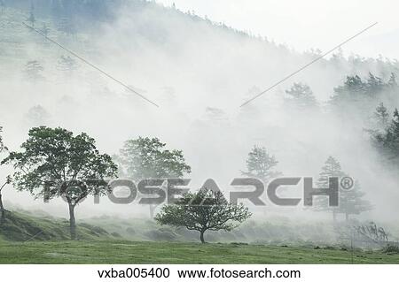Stock Image - Nagano Prefecture, Japan. Fotosearch