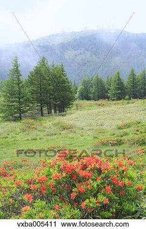 Nagano Prefecture, Japan View Large Photo Image Stock Image - Nagano Prefecture, Japan. Fotosearch