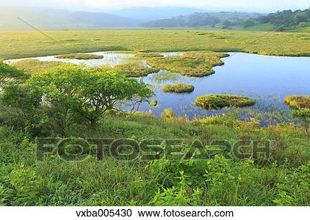 Nagano Prefecture, Japan View Large Photo Image Stock Image - Nagano Prefecture, Japan. Fotosearch