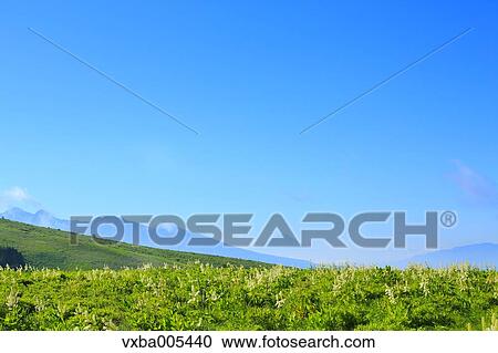 Nagano Prefecture, Japan View Large Photo Image Stock Image - Nagano Prefecture, Japan. Fotosearch