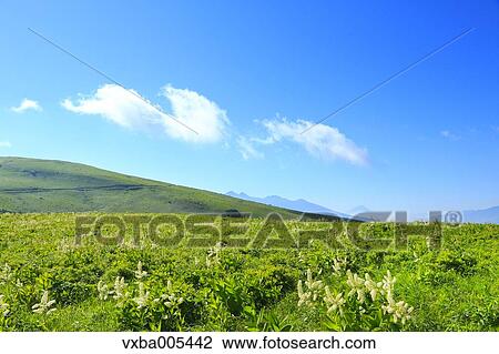 Nagano Prefecture, Japan View Large Photo Image Stock Image - Nagano Prefecture, Japan. Fotosearch