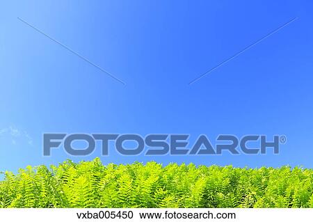 Nagano Prefecture, Japan View Large Photo Image Stock Image - Nagano Prefecture, Japan. Fotosearch