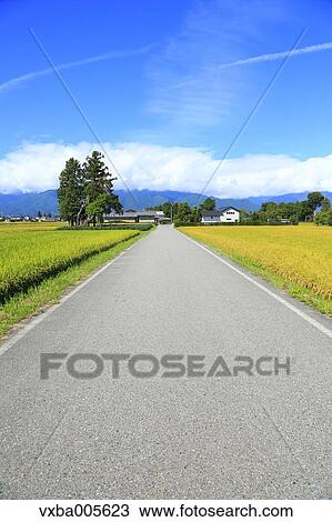 Nagano Prefecture, Japan View Large Photo Image Stock Image - Nagano Prefecture, Japan. Fotosearch