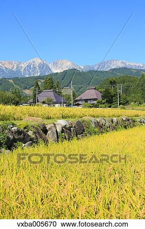 Nagano Prefecture, Japan View Large Photo Image Stock Image - Nagano Prefecture, Japan. Fotosearch