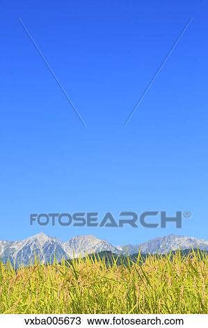 Nagano Prefecture, Japan View Large Photo Image Stock Image - Nagano Prefecture, Japan. Fotosearch