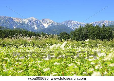 Nagano Prefecture, Japan View Large Photo Image Stock Image - Nagano Prefecture, Japan. Fotosearch