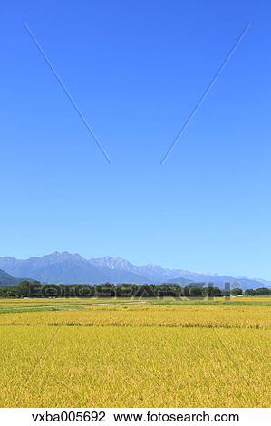 Nagano Prefecture, Japan View Large Photo Image Stock Image - Nagano Prefecture, Japan. Fotosearch