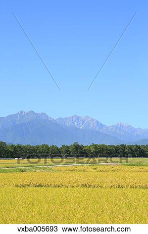 Nagano Prefecture, Japan View Large Photo Image Stock Image - Nagano Prefecture, Japan. Fotosearch