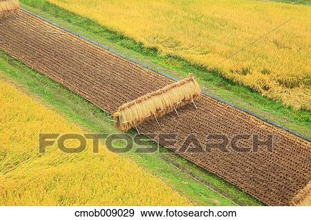 Stock Photo - Nagano Prefecture, Japan. Fotosearch