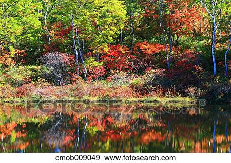 Nagano Prefecture, Japan View Large Photo Image Stock Photo - Nagano Prefecture, Japan. Fotosearch