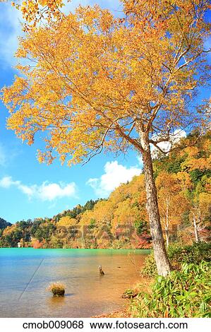 Stock Photo - Nagano Prefecture, Japan. Fotosearch