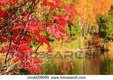 Nagano Prefecture, Japan View Large Photo Image Stock Photo - Nagano Prefecture, Japan. Fotosearch