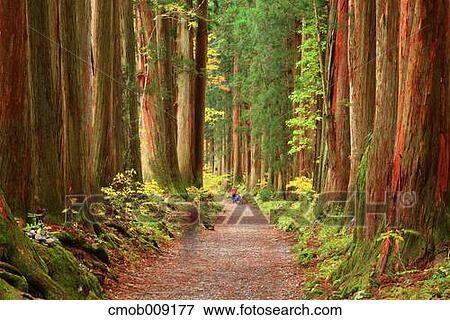 Stock Photo - Nagano Prefecture, Japan. Fotosearch