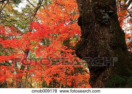 Stock Photo - Nagano Prefecture, Japan. Fotosearch