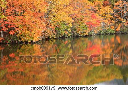 Nagano Prefecture, Japan View Large Photo Image Stock Photo - Nagano Prefecture, Japan. Fotosearch