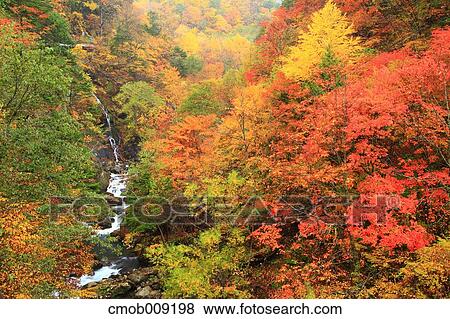 Nagano Prefecture, Japan View Large Photo Image Stock Photo - Nagano Prefecture, Japan. Fotosearch
