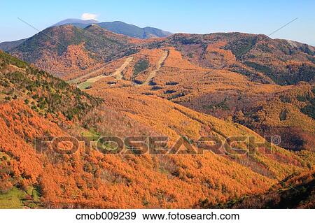 Stock Photo - Nagano Prefecture, Japan. Fotosearch