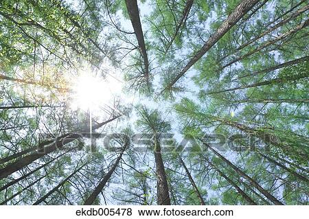 Nagano Prefecture, Japan View Large Photo Image Stock Photo - Nagano Prefecture, Japan. Fotosearch