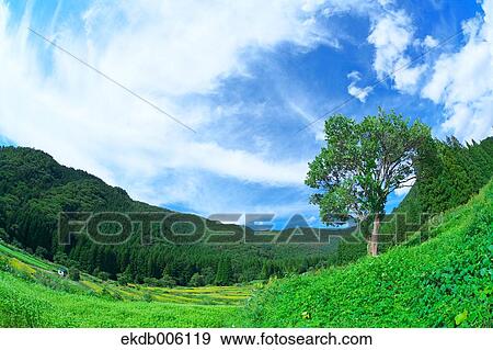 Stock Photo - Nagano Prefecture, Japan. Fotosearch
