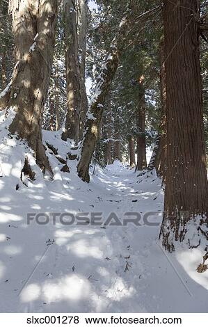 Stock Photo - Nagano Prefecture, Japan. Fotosearch