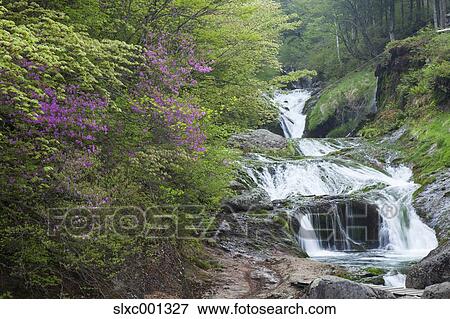 Nagano Prefecture, Japan View Large Photo Image Stock Photo - Nagano Prefecture, Japan. Fotosearch