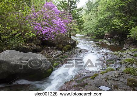Nagano Prefecture, Japan View Large Photo Image Stock Photo - Nagano Prefecture, Japan. Fotosearch