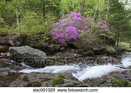 Stock Photo - Nagano Prefecture, Japan. Fotosearch