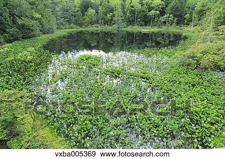 Stock Photo - Nagano Prefecture, Japan. Fotosearch