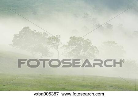 Nagano Prefecture, Japan View Large Photo Image Stock Photo - Nagano Prefecture, Japan. Fotosearch