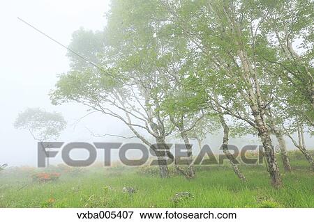 Stock Photo - Nagano Prefecture, Japan. Fotosearch