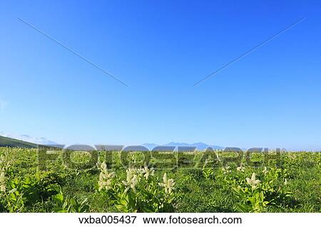 Stock Photo - Nagano Prefecture, Japan. Fotosearch