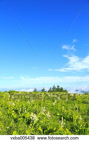 Nagano Prefecture, Japan View Large Photo Image Stock Photo - Nagano Prefecture, Japan. Fotosearch