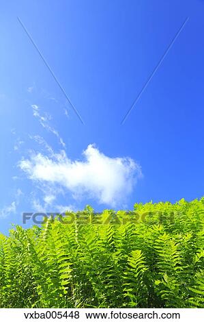 Stock Photo - Nagano Prefecture, Japan. Fotosearch