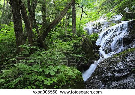 Nagano Prefecture, Japan View Large Photo Image Stock Photo - Nagano Prefecture, Japan. Fotosearch