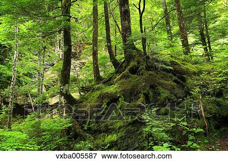 Stock Photo - Nagano Prefecture, Japan. Fotosearch