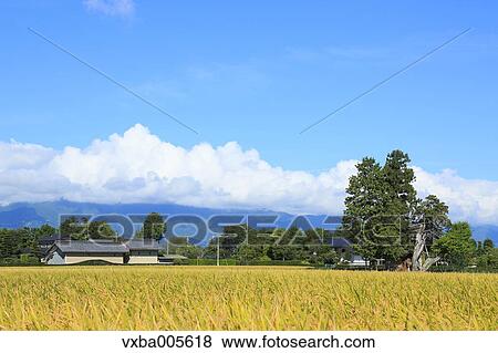 Stock Photo - Nagano Prefecture, Japan. Fotosearch
