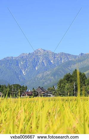 Nagano Prefecture, Japan View Large Photo Image Stock Photo - Nagano Prefecture, Japan. Fotosearch
