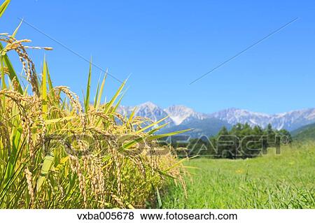Nagano Prefecture, Japan View Large Photo Image Stock Photo - Nagano Prefecture, Japan. Fotosearch