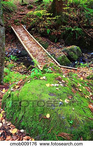 Nagano Prefecture, Japan View Large Photo Image Stock Photograph - Nagano Prefecture, Japan. Fotosearch