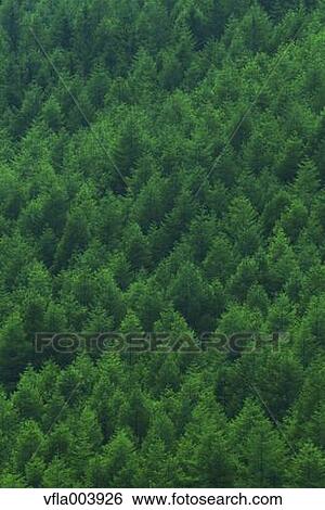 Nagano Prefecture, Japan View Large Photo Image Stock Photograph - Nagano Prefecture, Japan. Fotosearch