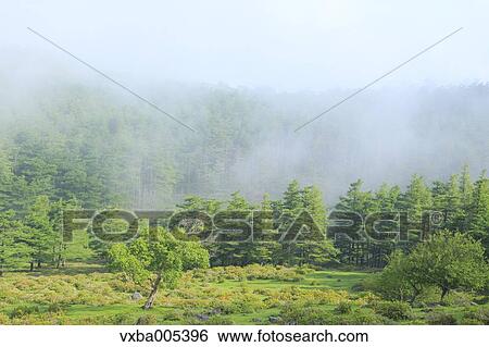 Nagano Prefecture, Japan View Large Photo Image Stock Photograph - Nagano Prefecture, Japan. Fotosearch