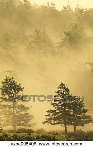 Nagano Prefecture, Japan View Large Photo Image Stock Photograph - Nagano Prefecture, Japan. Fotosearch