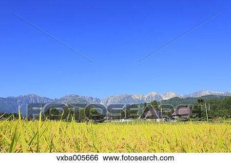 Nagano Prefecture, Japan View Large Photo Image Stock Photograph - Nagano Prefecture, Japan. Fotosearch