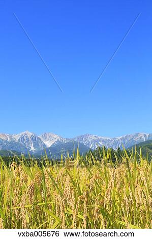 Nagano Prefecture, Japan View Large Photo Image Stock Photograph - Nagano Prefecture, Japan. Fotosearch