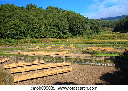 Nagano Prefecture, Japan View Large Photo Image Stock Photography - Nagano Prefecture, Japan. Fotosearch