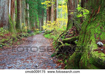 Stock Photography - Nagano Prefecture, Japan. Fotosearch