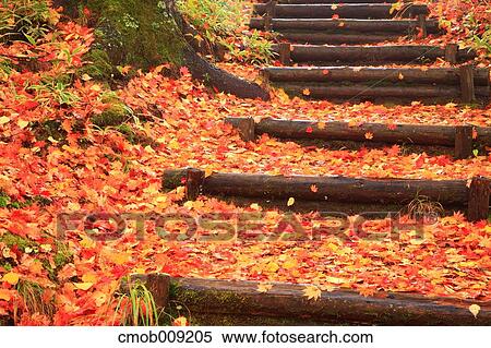 Nagano Prefecture, Japan View Large Photo Image Stock Photography - Nagano Prefecture, Japan. Fotosearch