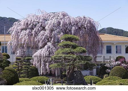 Nagano Prefecture, Japan View Large Photo Image Stock Photography - Nagano Prefecture, Japan. Fotosearch