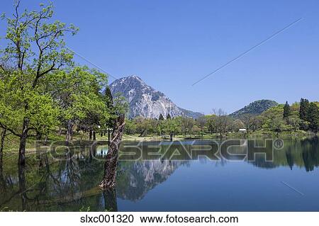 Niigata Prefecture, Japan View Large Photo Image Stock Image - Niigata Prefecture, Japan. Fotosearch